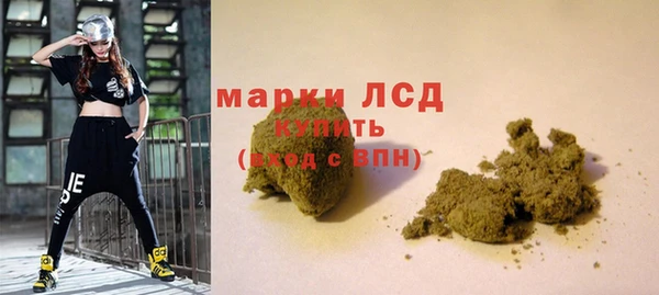шишки Баксан