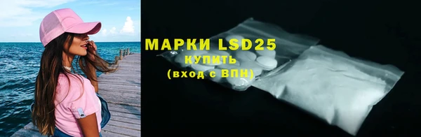 шишки Баксан