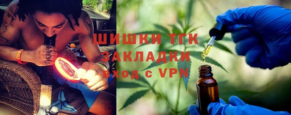 шишки Баксан