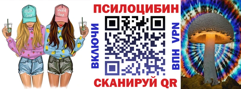 купить наркотики цена  Чудово  Галлюциногенные грибы прущие грибы 